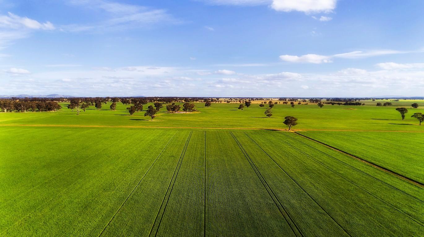 THE AGRICULTURAL LANDSCAPE IN AUSTRALIA